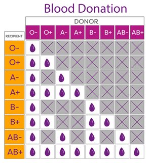 Blood_Type_Chart_Vitalant-(2).jpg Blood_Type_Chart_Vitalant-(2).jpg