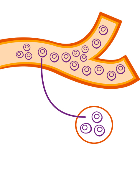 Healthy-Disc-Diagram.jpg